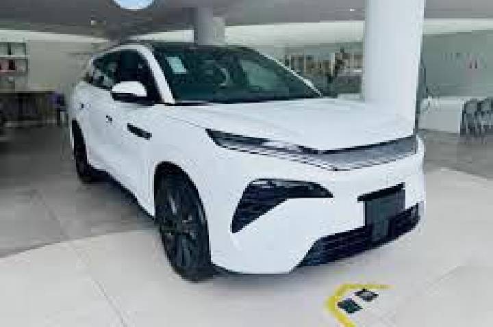 BYD VIP DAY: BYD bate recorde e baixo custo de aquisição e manutenção explicam  sucesso, afirma especialista do Grupo Viamar