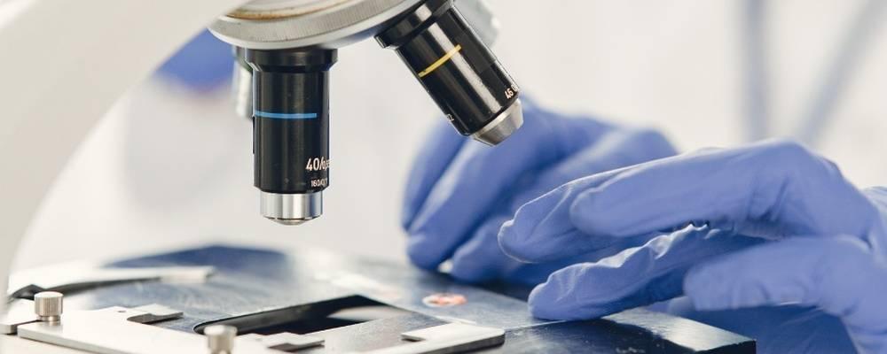 Exame toxicológico randômico: Empresas têm até 15 de setembro para começar a inserir no e-Social os dados