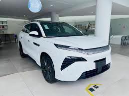 BYD VIP DAY: BYD bate recorde e baixo custo de aquisição e manutenção explicam  sucesso, afirma especialista do Grupo Viamar